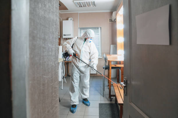 Best Commercial Mold Inspection  in Tell City, IN