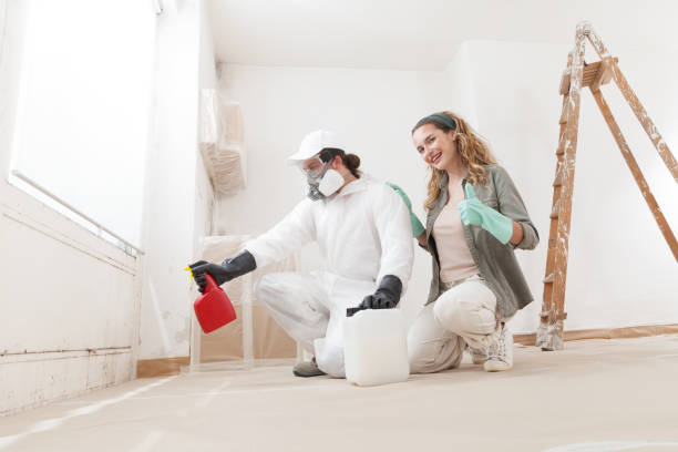 Mold Removal for HVAC Installations in Tell City, IN